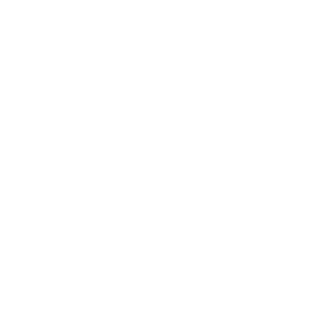 ipvida